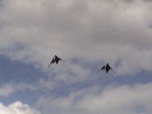 Photo 23 (Fury)