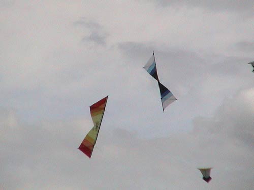 Photo 24 (4 lignes)