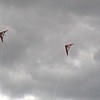 CDF04_29.jpg