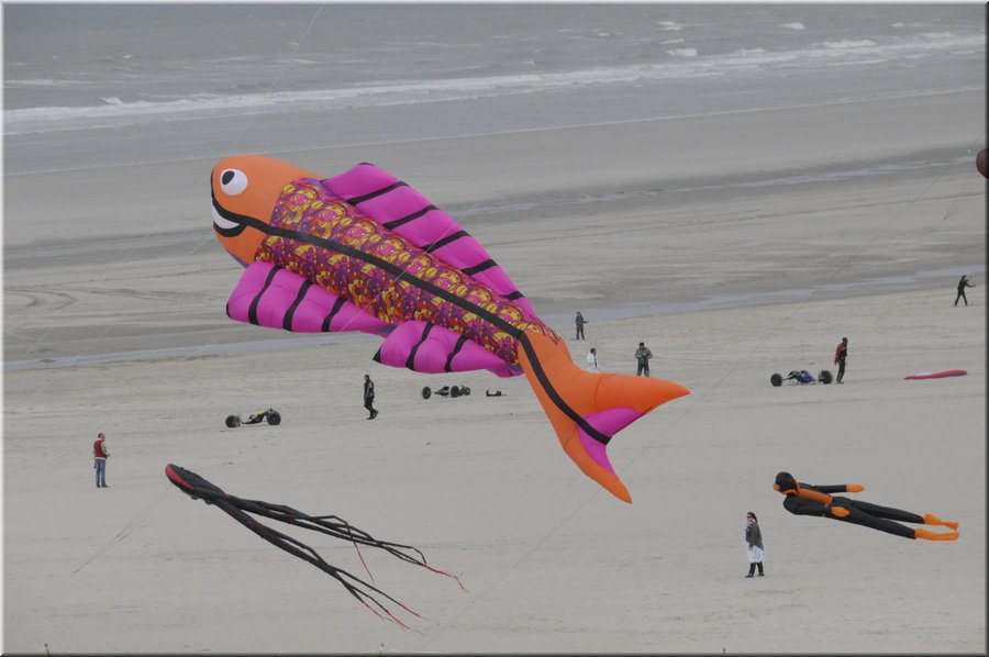 berck-2013-04.JPG