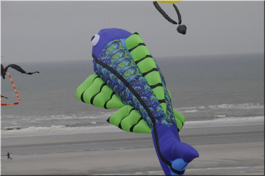 berck-2013-05.JPG
