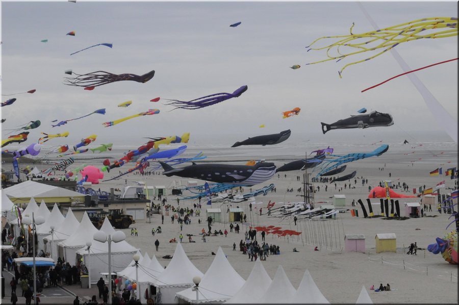 berck-2013-08.JPG