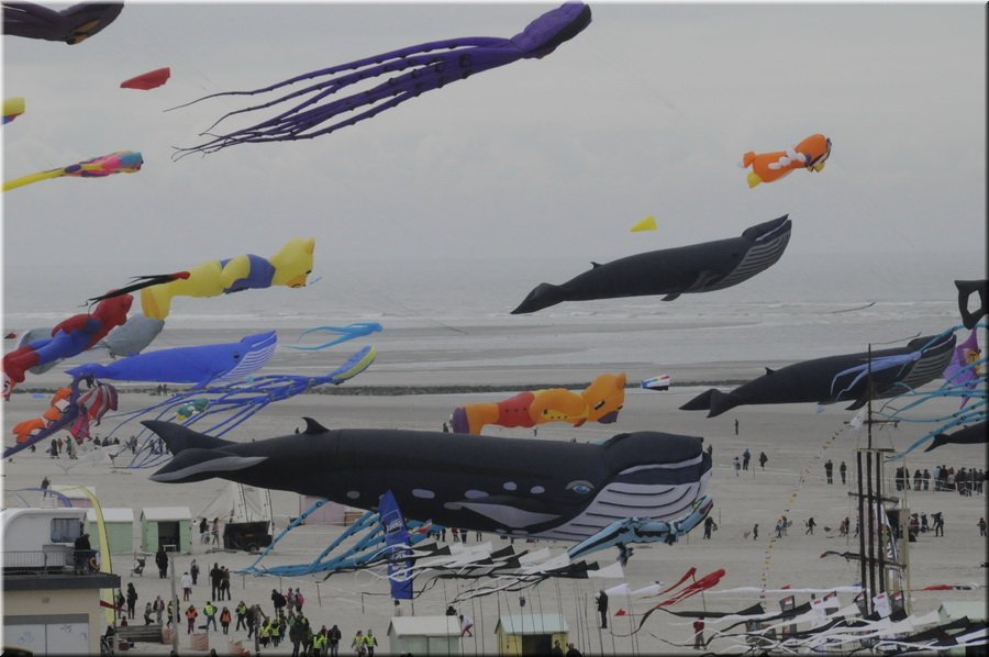 berck-2013-09.JPG