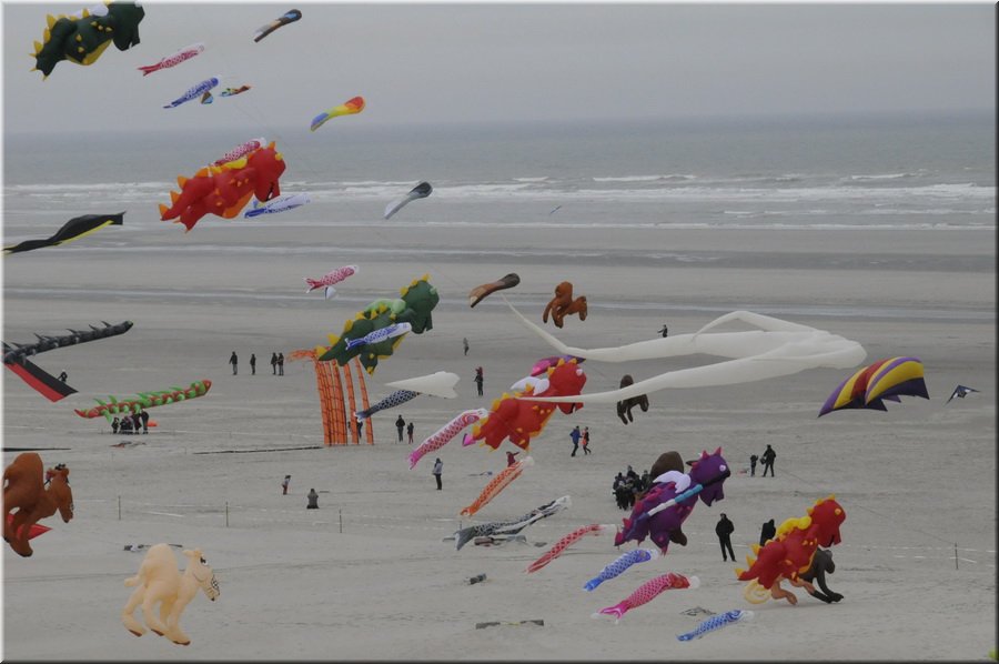 berck-2013-13.JPG