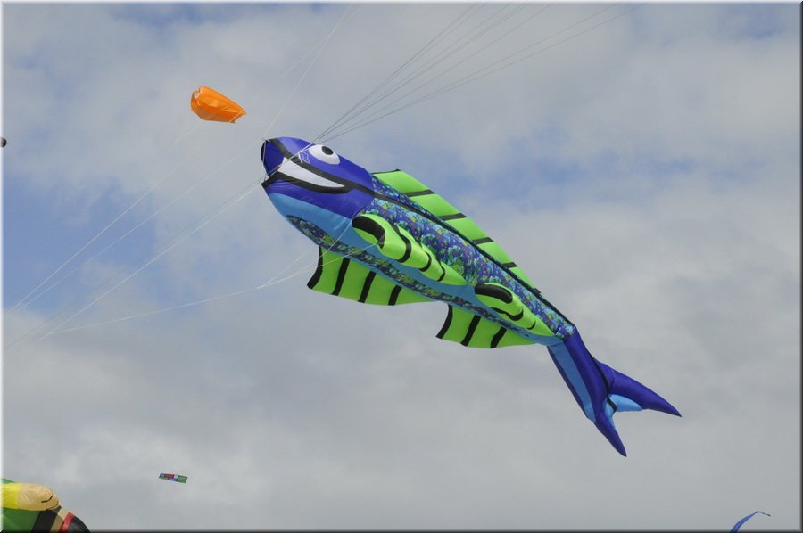 berck-2013-16.JPG