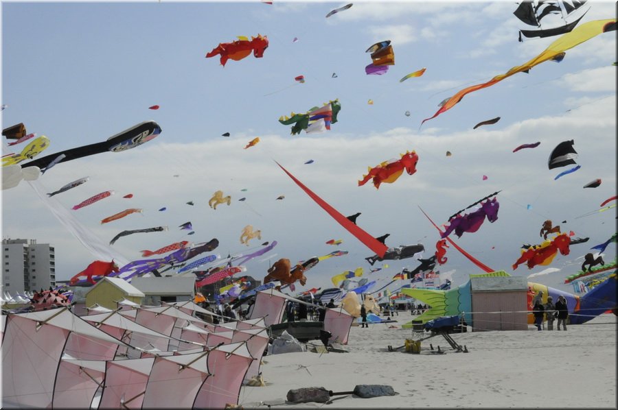 berck-2013-17.JPG