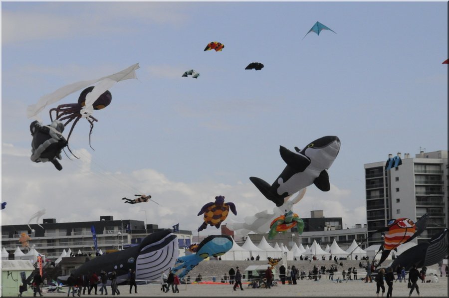 berck-2013-28.JPG