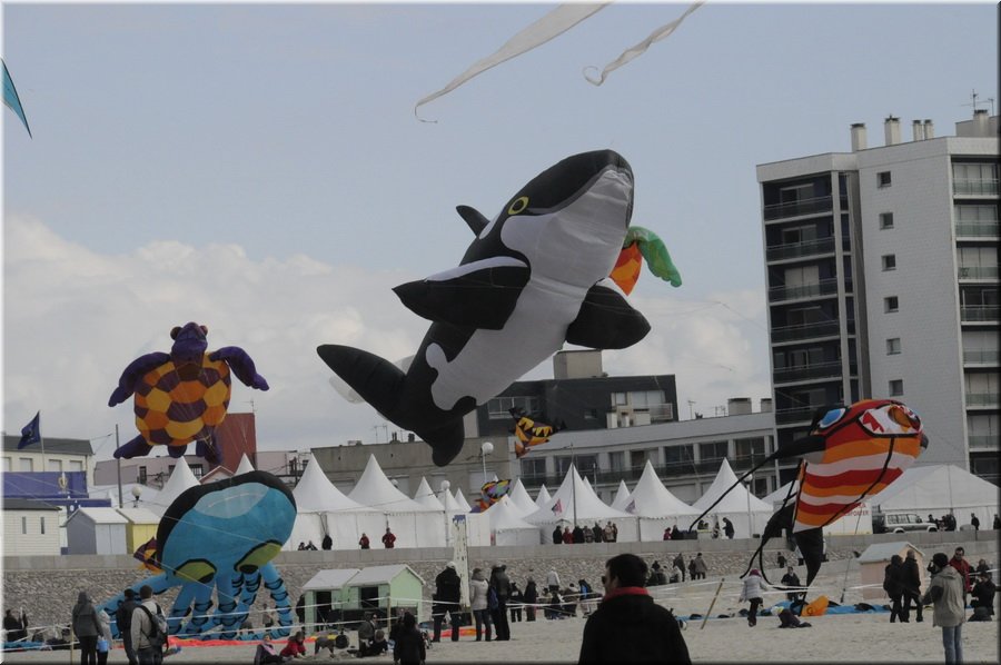 berck-2013-30.JPG