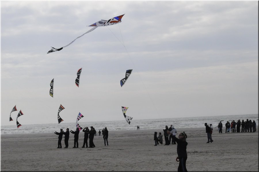 berck-2013-34.JPG