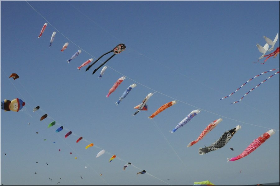 berck-2013-43.JPG