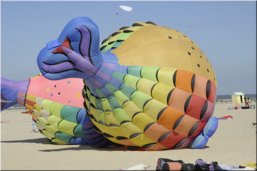 berck-2013-47.JPG