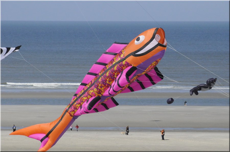 berck-2013-56.JPG