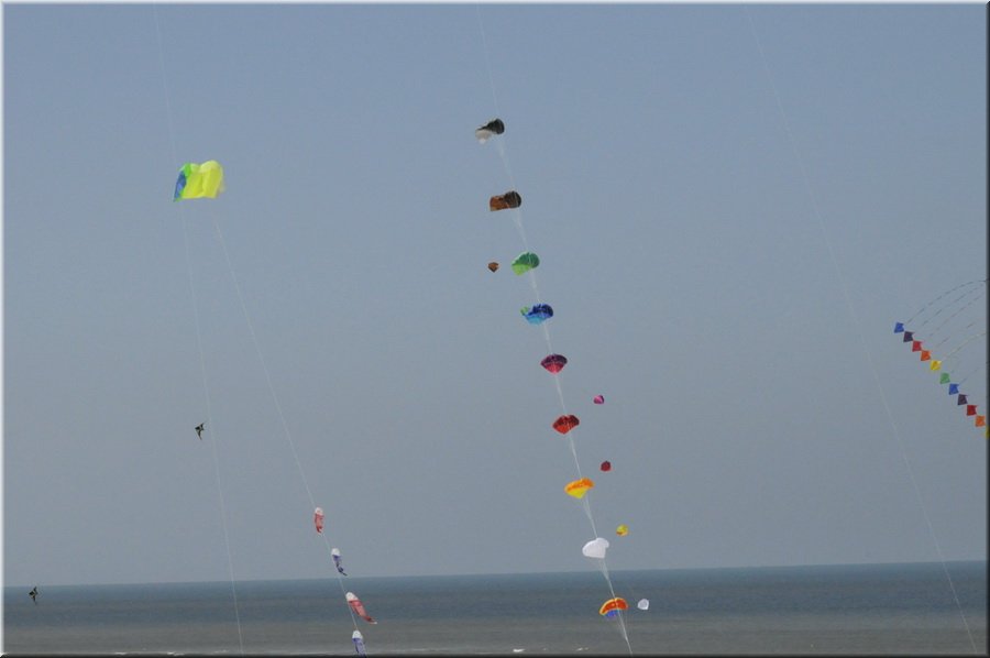 berck-2013-58.JPG