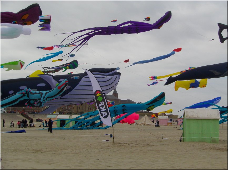 berck-2013-81.JPG
