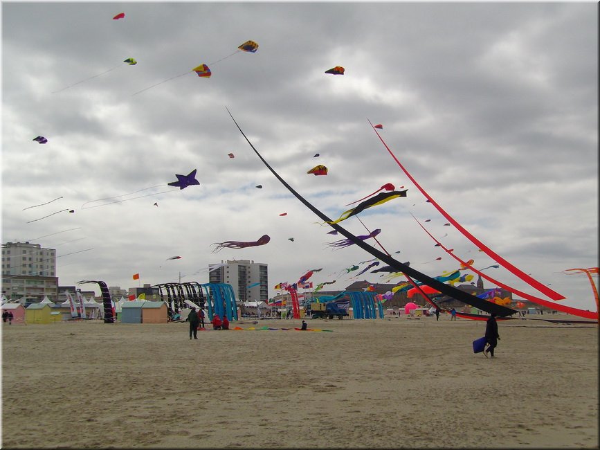 berck-2013-89.JPG