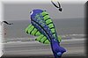 berck-2013-05.JPG