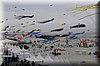berck-2013-08.JPG