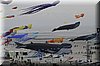 berck-2013-09.JPG