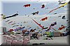 berck-2013-17.JPG