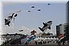 berck-2013-28.JPG