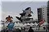 berck-2013-30.JPG