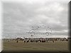 berck-2013-88.JPG