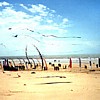 photo27.jpg