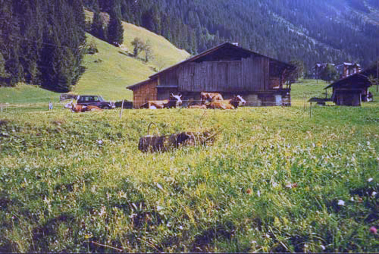 La grange des tarentaises