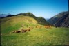 Les alpages - bon spot