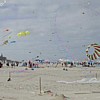 bk2001_j.jpg