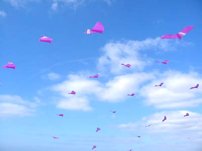 Photo de Valentin : Vol d'oiseaux