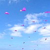 IMG_0827.jpg