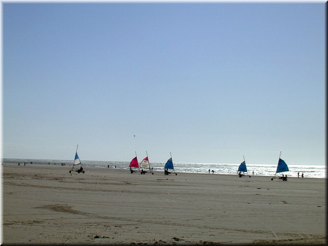 photo10.jpg