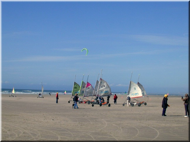 photo14.jpg