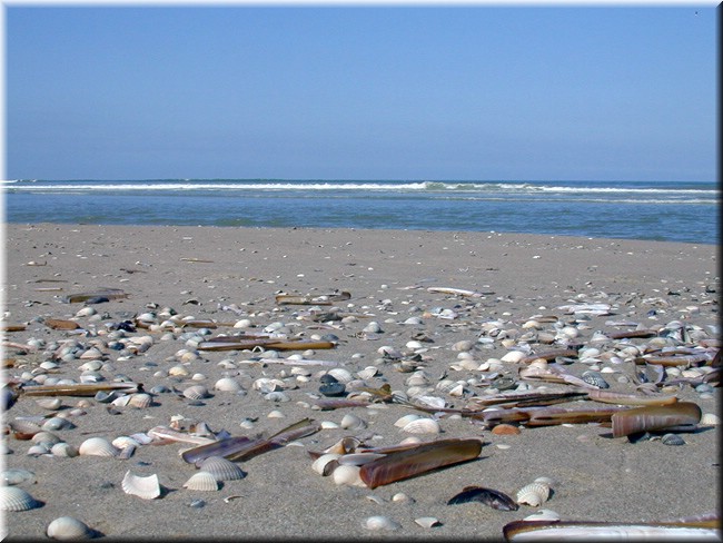 photo19.jpg