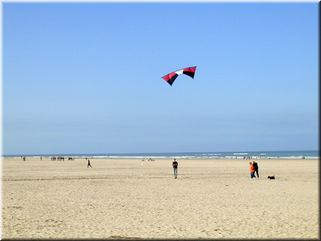 photo20.jpg