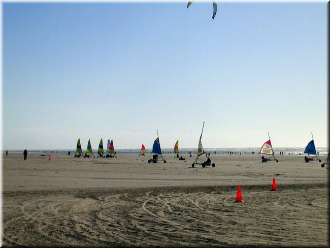 photo8.jpg