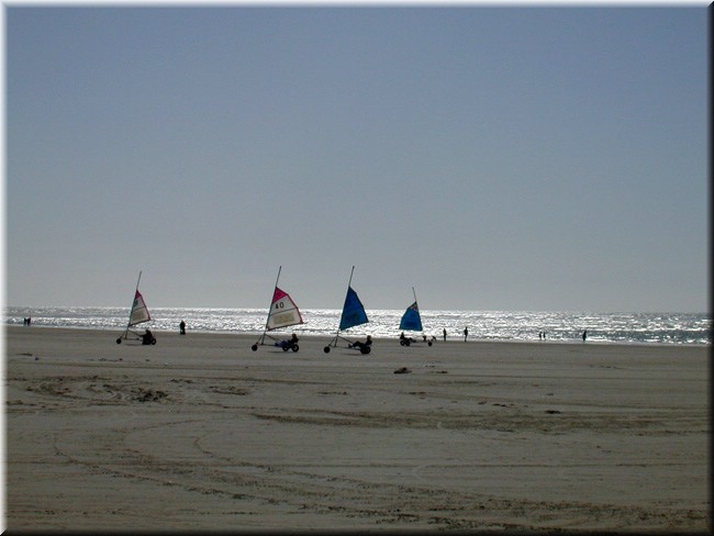 photo9.jpg