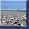 photo19.jpg