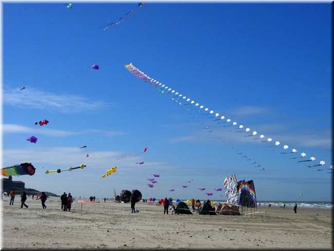 photo13.jpg