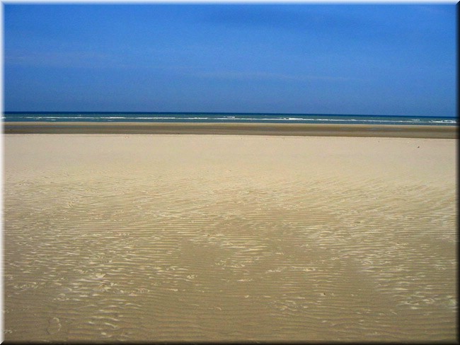 photo2.jpg