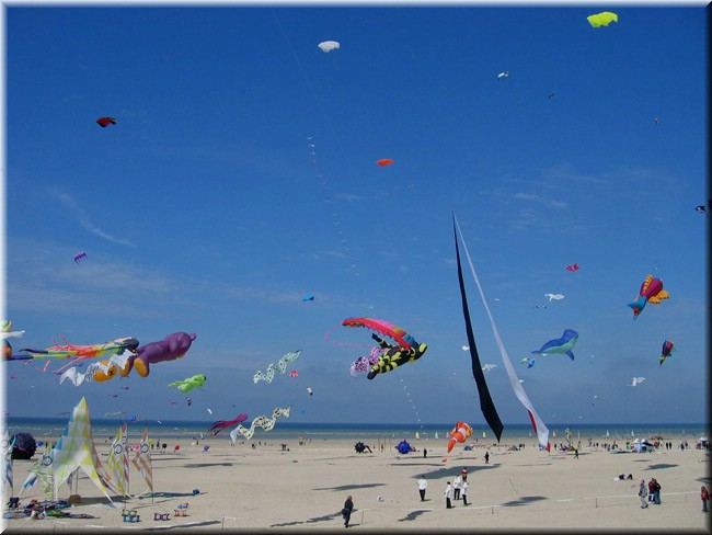 photo9.jpg