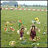 jardin.jpg