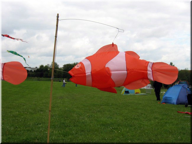 photo14.jpg