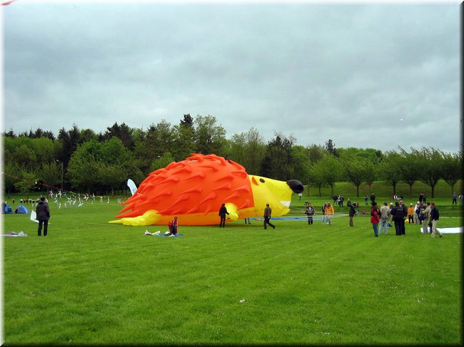 photo32.jpg