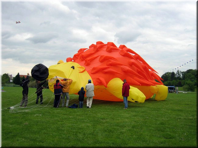 photo33.jpg