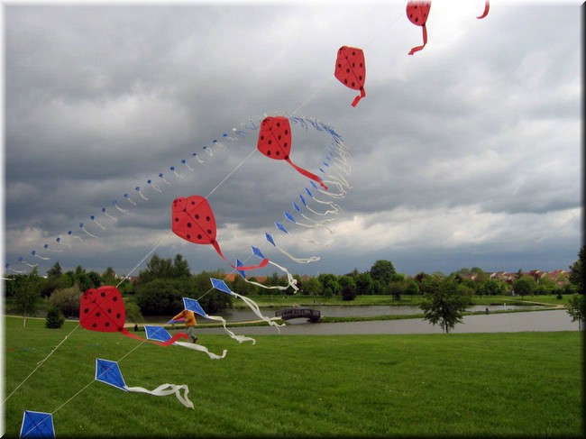 photo9.jpg