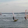 fly6.jpg