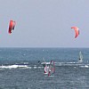 fly0.jpg