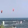 fly1.jpg